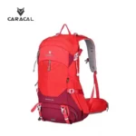 CA_B4003 (6)