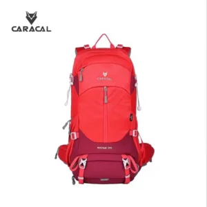 کوله پشتی RAYAN کاراکال CA-B4003