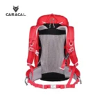 CA_B4005 (6)
