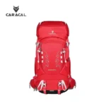 CA_B4008 (2)