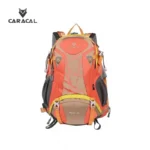 CA_B4009 (1)