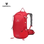 CA_B4011 (1)