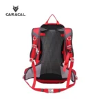 CA_B4011 (10)