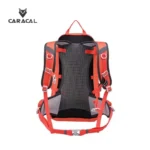 CA_B4011 (6)