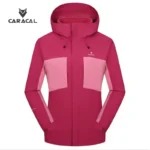 CA_C3100B (4)