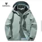 CA_C3101A (3)