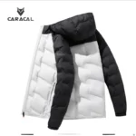 CA_C3108B (3)