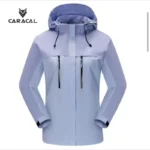 Ca_C3102B (2)