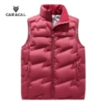 Ca_C3109B (1)