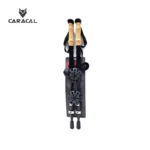 caracalCA_P7102 (3)