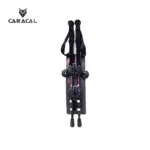 caracalCA_P7103 (3)