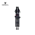 caracalCA_P7103 (4)