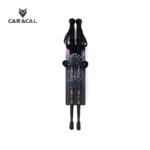 caracalCA_P7104 (3)