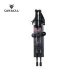 caracalCA_P7104 (4)