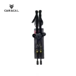 caracalCA_P7105 (2)