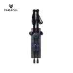 caracalCA_P7105 (3)