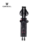 caracalCA_P7105 (4)