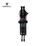 caracalCA_P7106 (3)