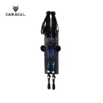 caracalCA_P7106 (4)