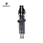 caracalCA_P7107 (2)