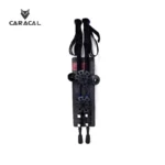 caracalCA_P7107 (4)
