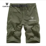 CA_3032A (2)