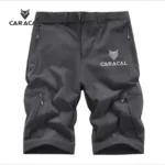 CA_3032A (3)