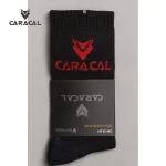 CA_C601 (3)