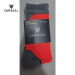 CA_C604 (3)
